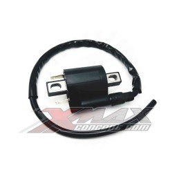 Bobine allumage H.T...